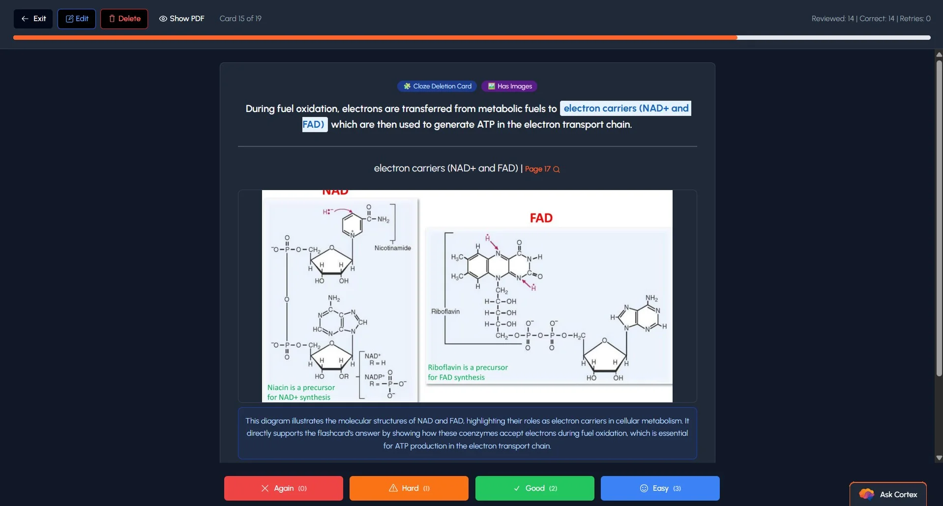 Medical school study tools showing AI-generated flashcards with spaced repetition for USMLE and COMLEX prep