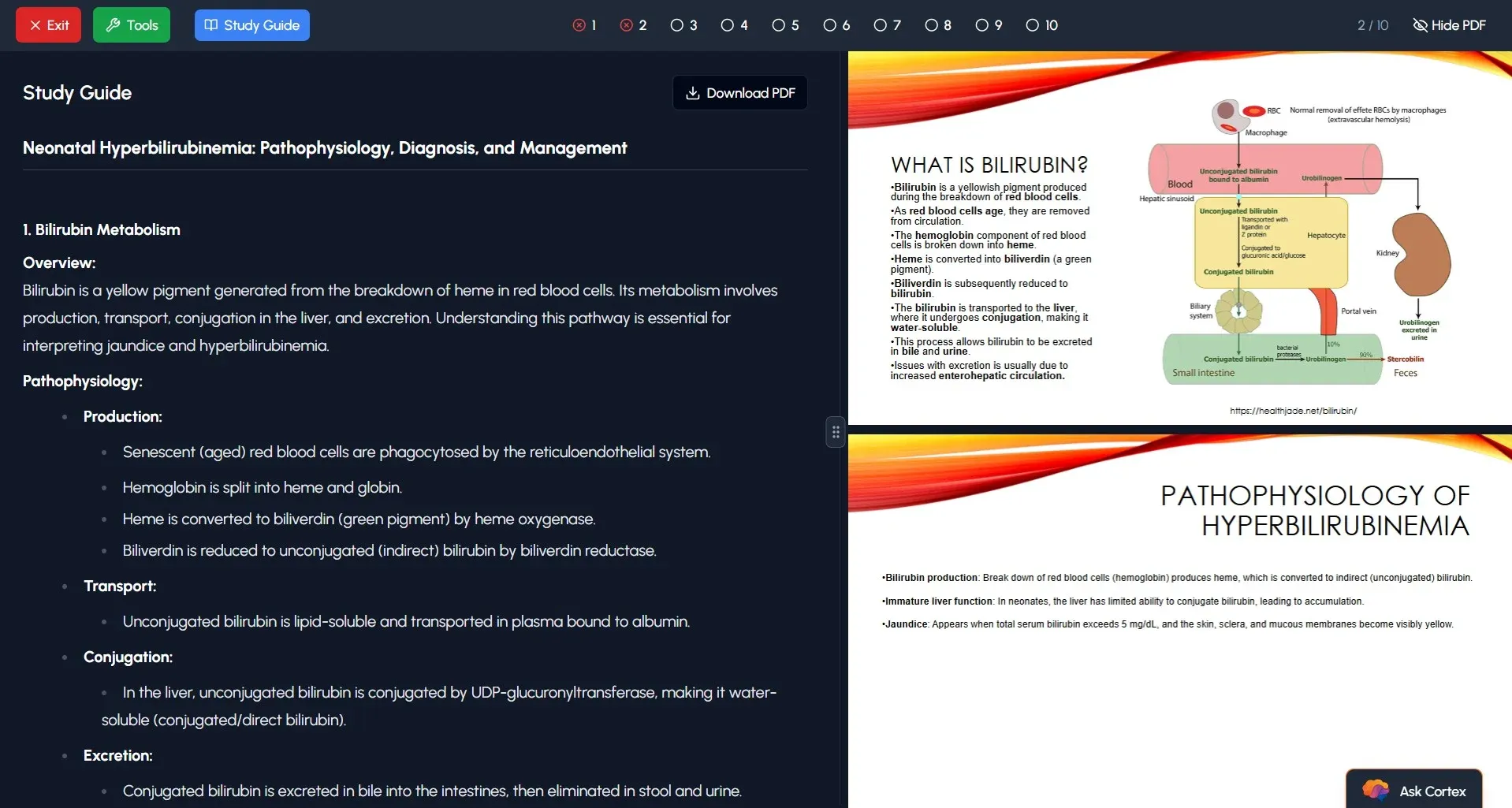 How It Works - Simple, Fast, and Matched to Your Lectures screenshot 3